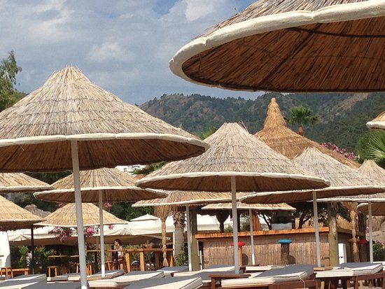 Tiki Beach Restaurant & Bar